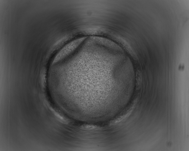 X0000101180590200807181450