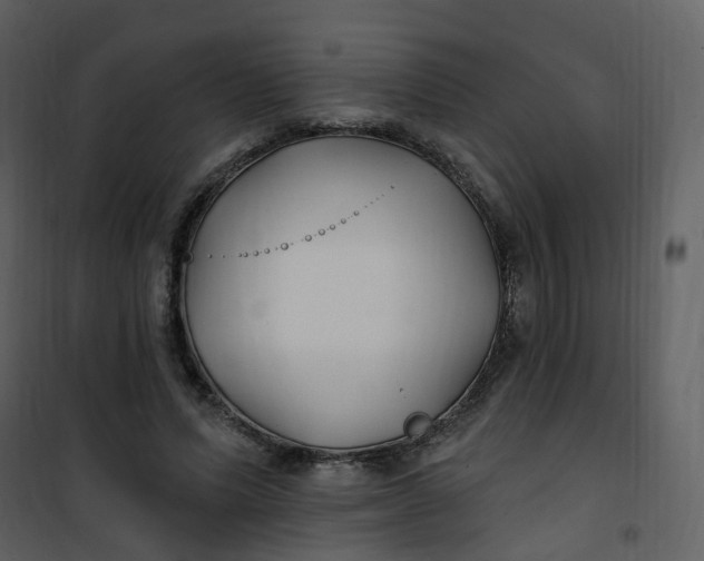 X0000101180591200807181450