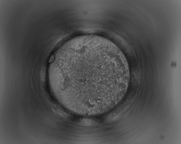 X0000101180596200807181450