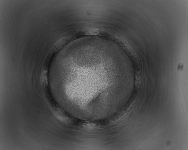 X0000101180598200807181450