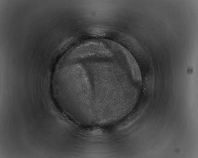 X0000101180600200807181450