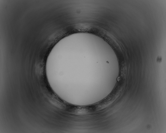 X0000101180604200807181450