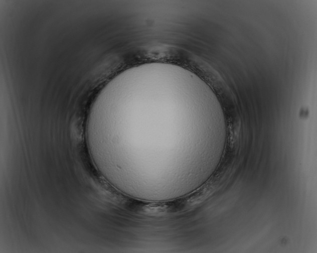 X0000101180606200807181450