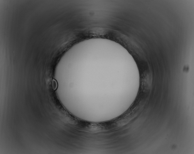 X0000101180608200807181449