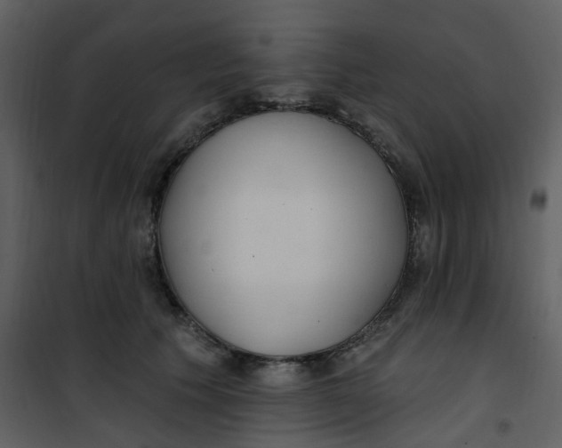 X0000101180609200807181449