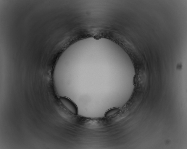 X0000101180611200807181449