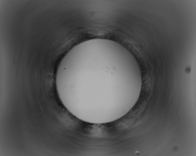 X0000101180612200807181449