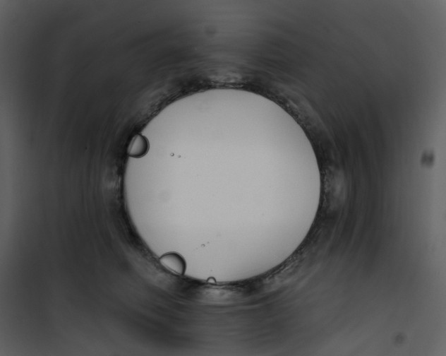 X0000101180614200807181449