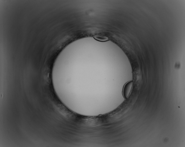 X0000101180615200807181449