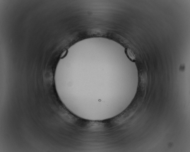 X0000101180617200807181449