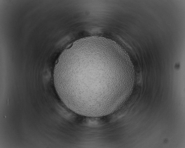 X0000101180618200807181449