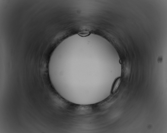 X0000101180619200807181449