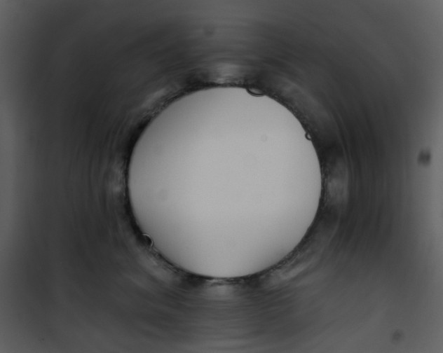 X0000101180620200807181449