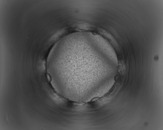 X0000101180621200807181449