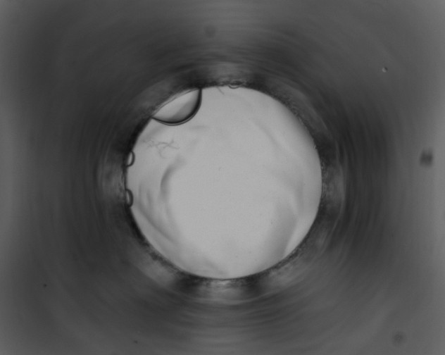 X0000101180622200807181449