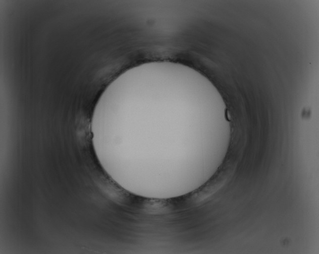 X0000101180624200807181449