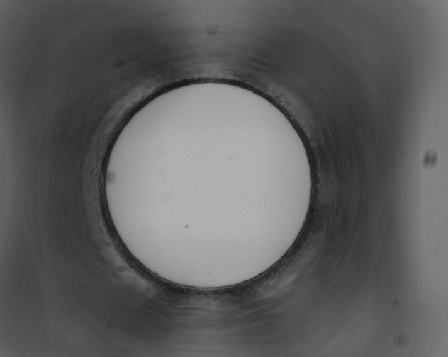 X0000101180625200807181448