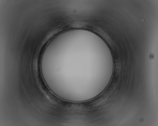 X0000101180626200807181448