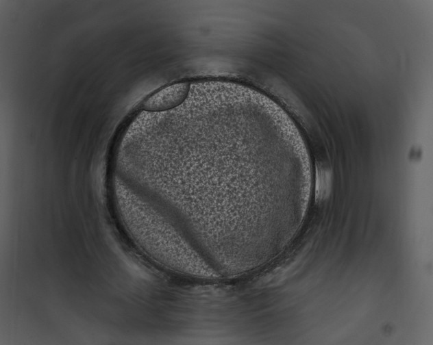 X0000101180627200807181448