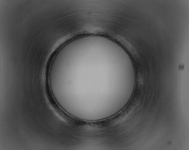 X0000101180630200807181449