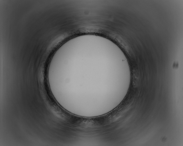 X0000101180631200807181449