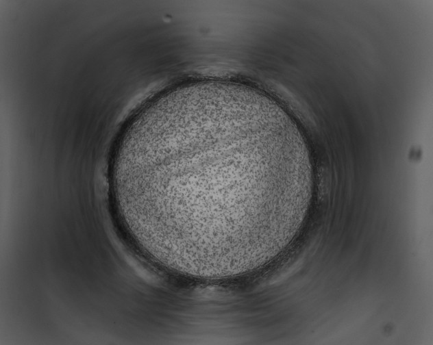 X0000101180634200807181449