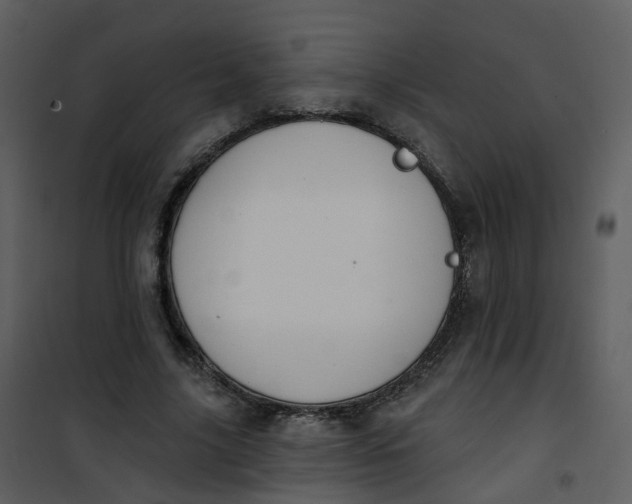 X0000101180635200807181449