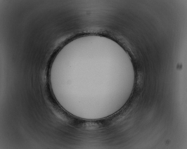 X0000101180636200807181449