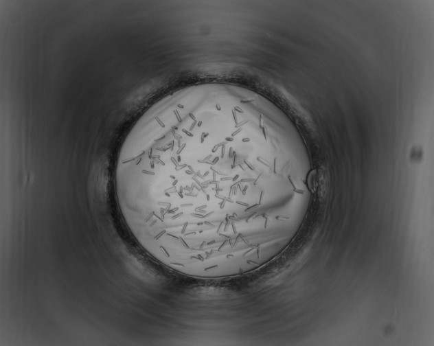 X0000101180637200807181449