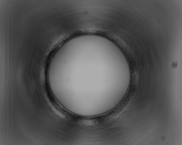 X0000101180638200807181449