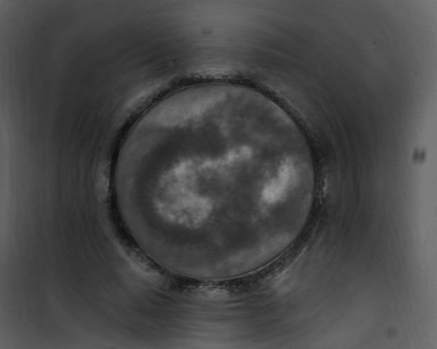 X0000101180640200807181449