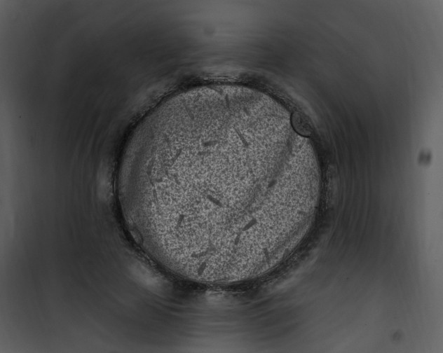 X0000101180641200807181449