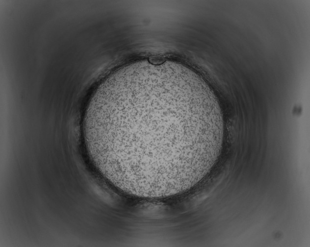 X0000101180642200807181449