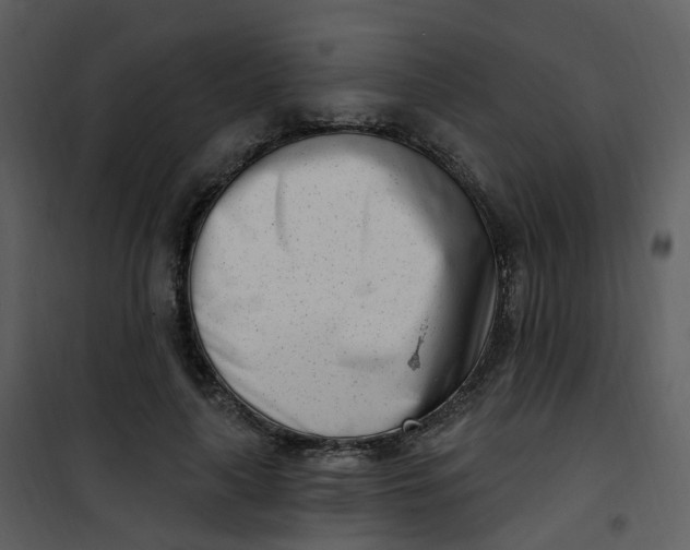 X0000101180643200807181449