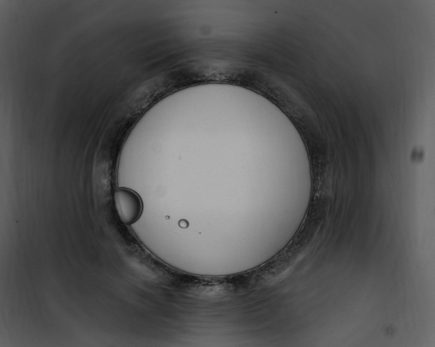 X0000101180646200807181449