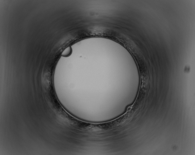 X0000101180648200807181449