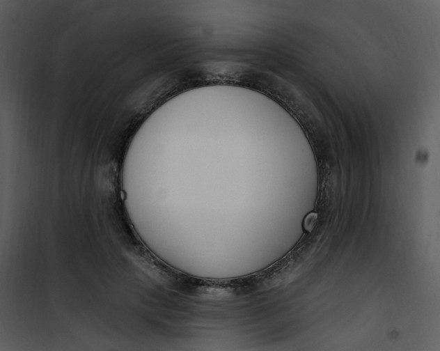 X0000101180649200807181449