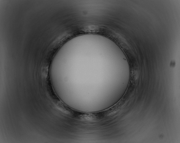 X0000101180652200807181449