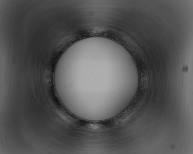 X0000101180654200807181449