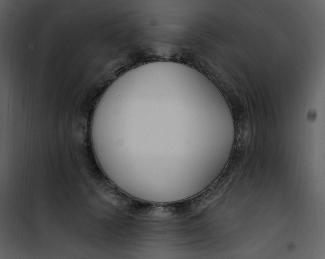 X0000101180656200807181449