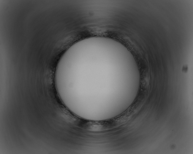 X0000101180658200807181449