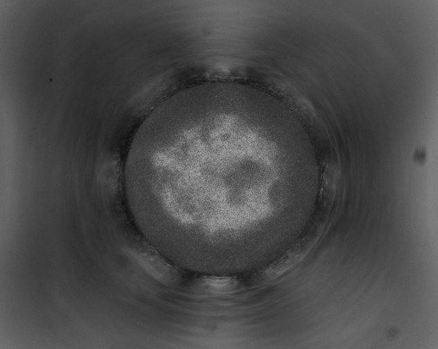 X0000101180659200807181449