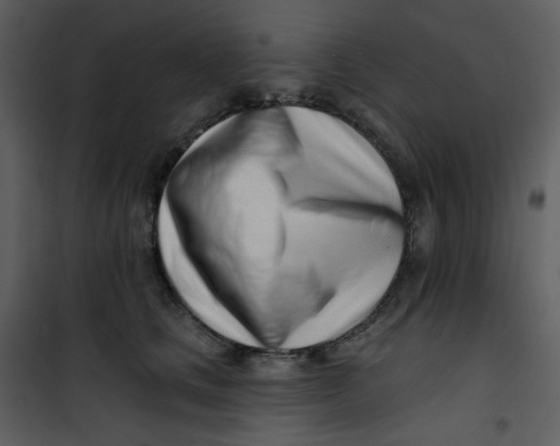 X0000101180661200807181449