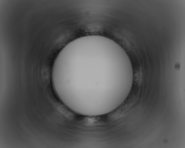 X0000101180662200807181449