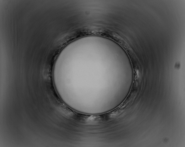 X0000101180663200807181449