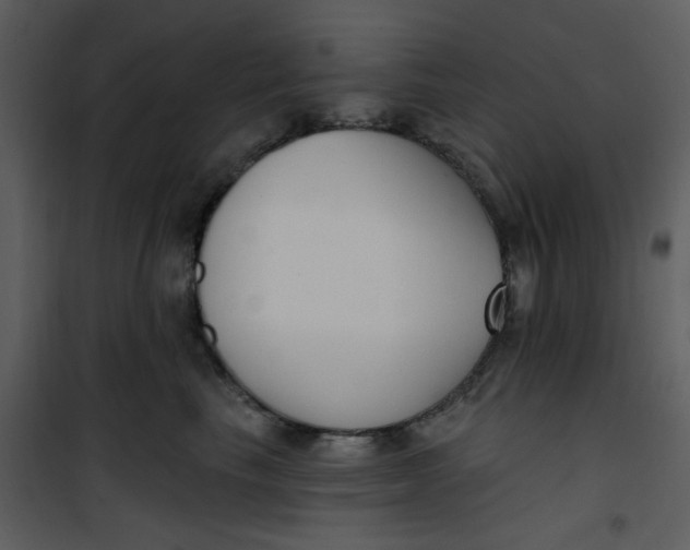 X0000101180665200807181449