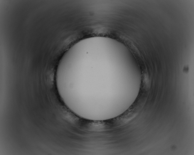 X0000101180668200807181449