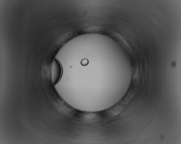 X0000101180669200807181449