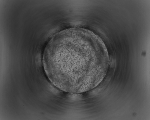 X0000101180670200807181449