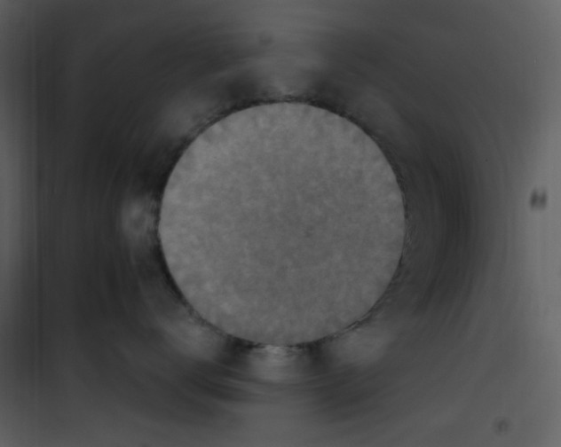 X0000101180672200807181449